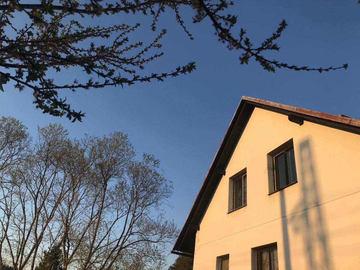 Apartman Ivko Letohrad Eksteriør billede